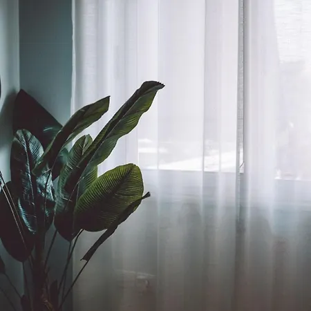 Central Apartment Apartment *