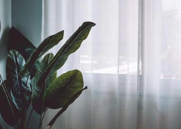 Central Apartment Apartment *